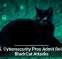 U.S. Cybersecurity Pros Admit Role in BlackCat Attacks